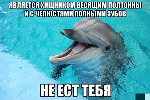 Прикольные картинки (79 фото)