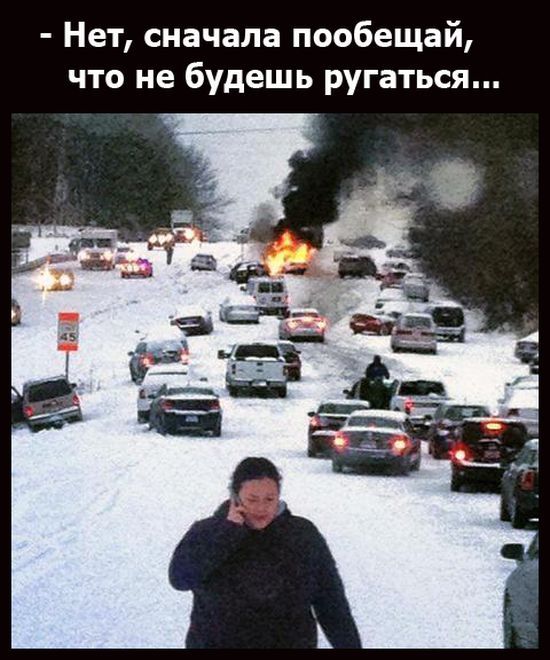 Прикольные картинки (79 фото)