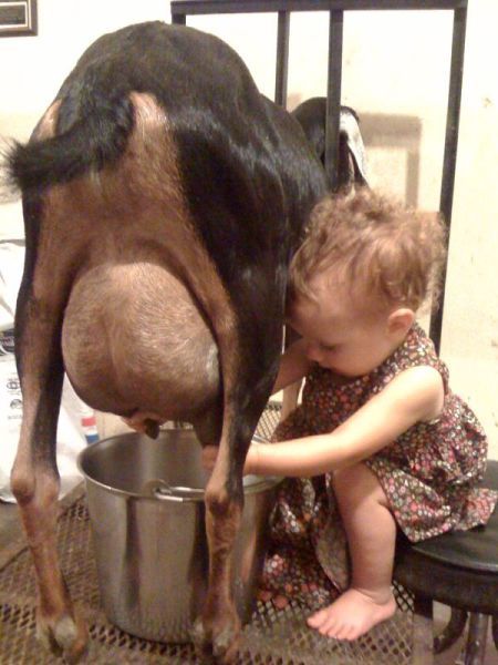 Прикольные картинки (79 фото)