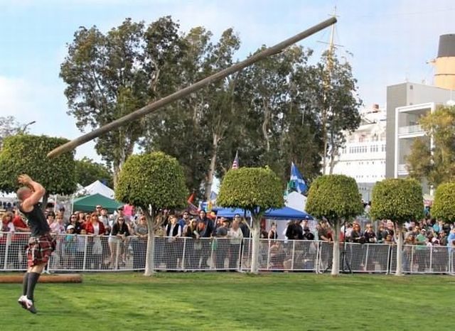 Прикольные картинки (79 фото)