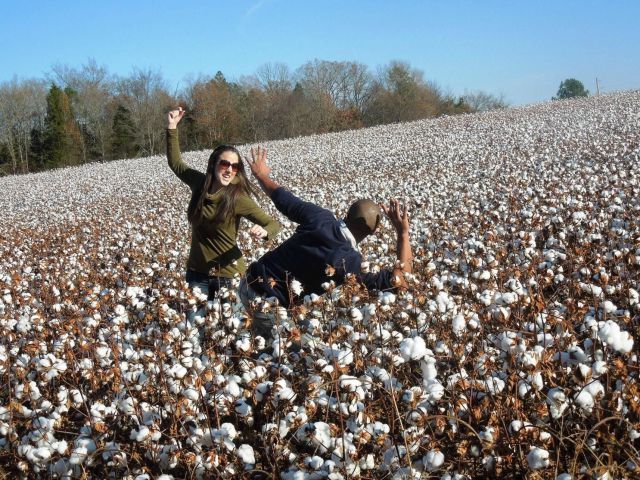 Прикольные картинки (79 фото)