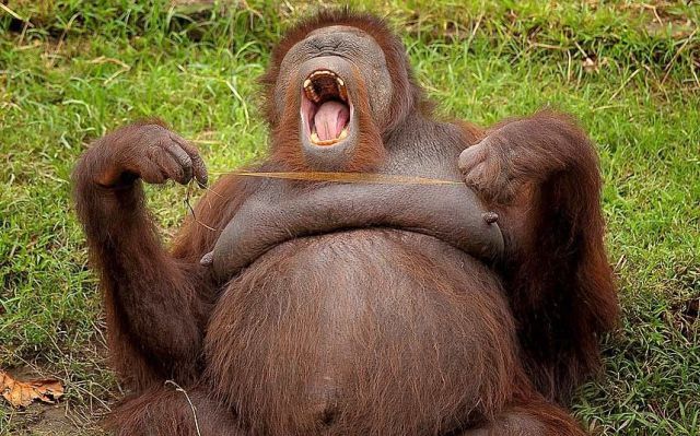 Прикольные картинки (79 фото)