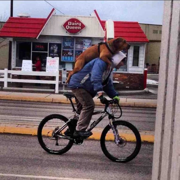 Прикольные картинки (79 фото)