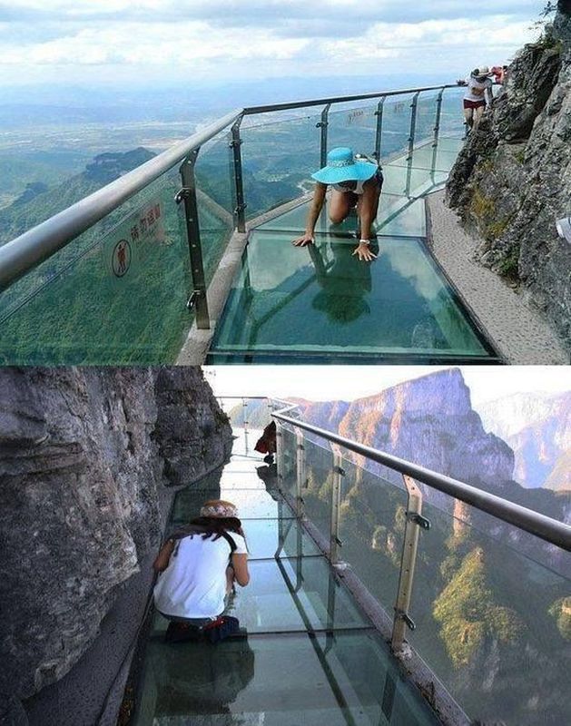 Прикольные картинки (79 фото)