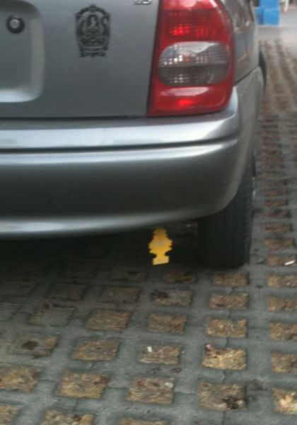 Прикольные картинки (79 фото)