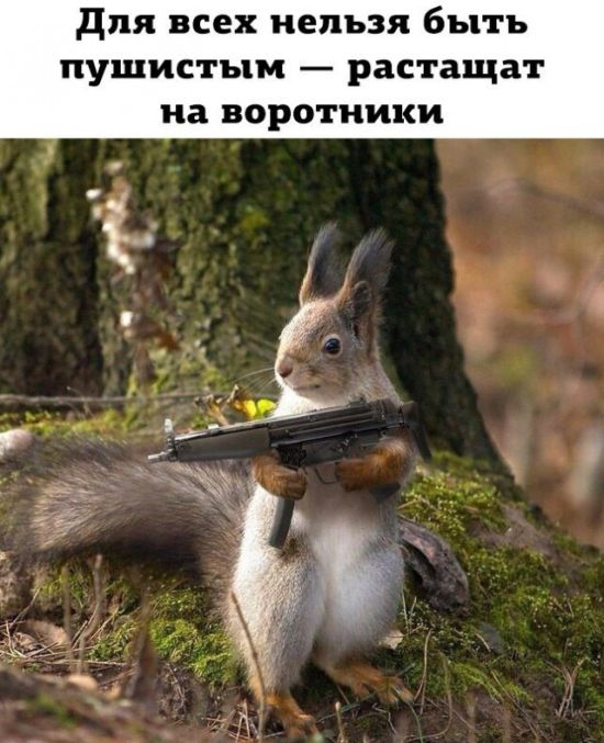 Прикольные картинки