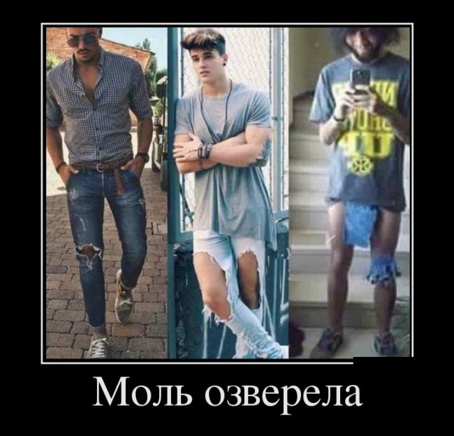 Демотиваторы