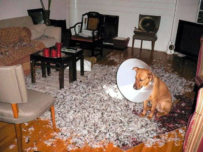 Когда что-то пошло не так