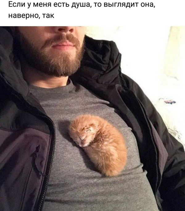 Прикольные картинки