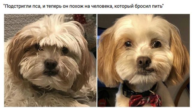 Прикольные картинки