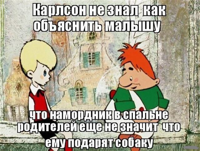 Прикольные картинки