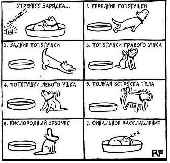 Смешные комиксы