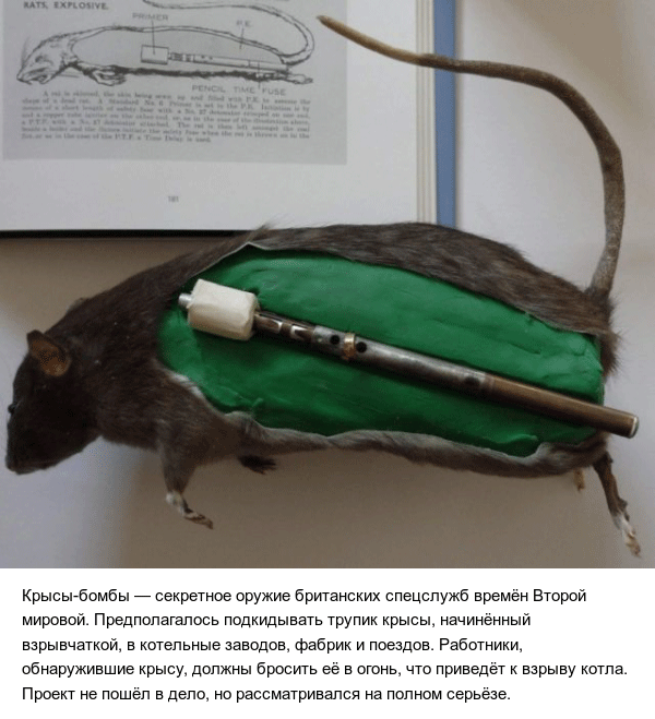На войне все средства хороши