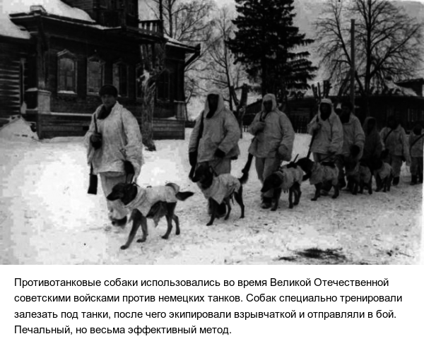 На войне все средства хороши
