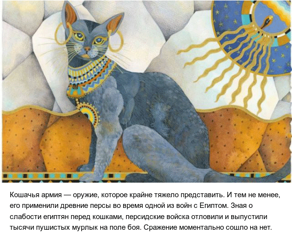 На войне все средства хороши