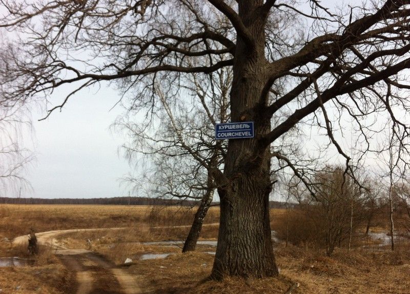 Прикольные картинки (103 фото)