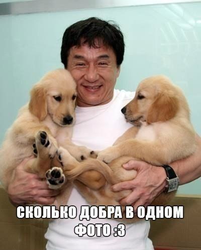Прикольные картинки (103 фото)