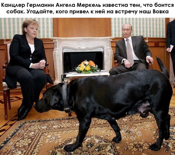 Прикольные картинки (103 фото)