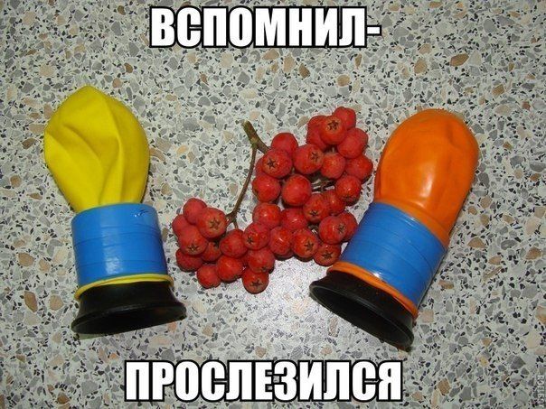Прикольные картинки (103 фото)