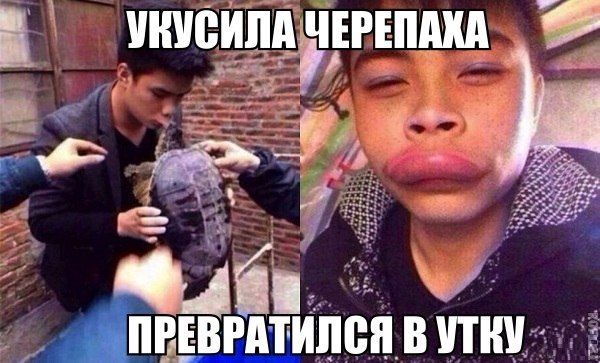 Прикольные картинки (103 фото)