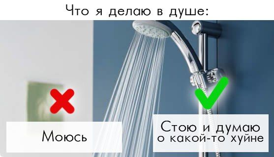 Прикольные картинки (103 фото)