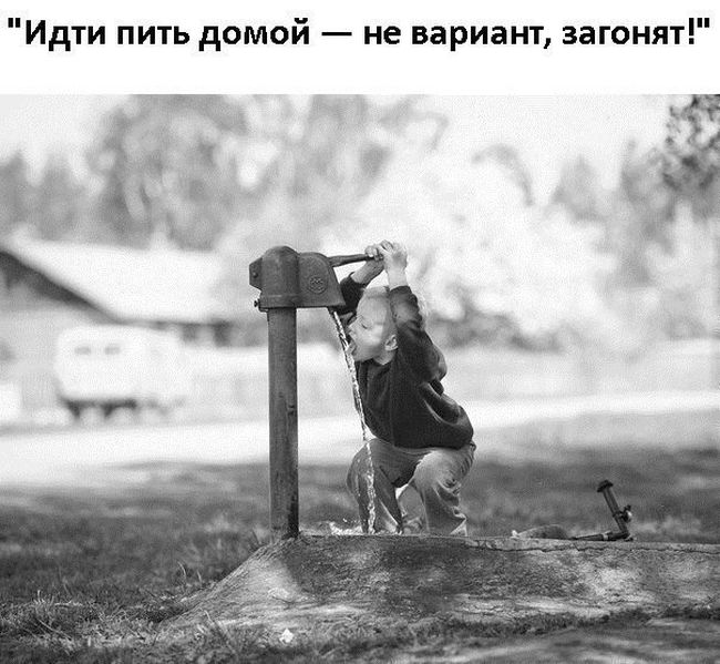 Прикольные картинки