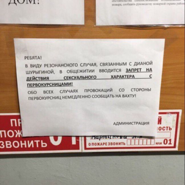 Прикольные картинки