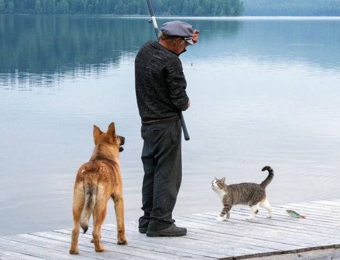 Прикольные картинки