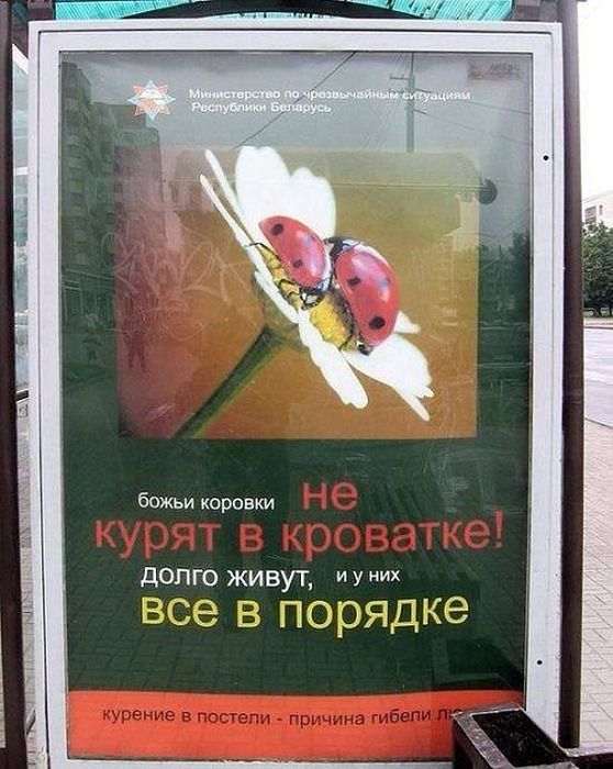 Фото, которые возможно было сделать только в России