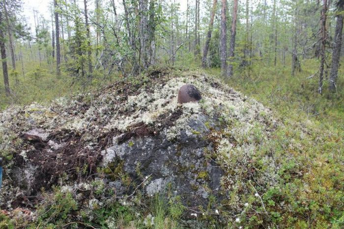 Отголоски войн, поглощенные природой