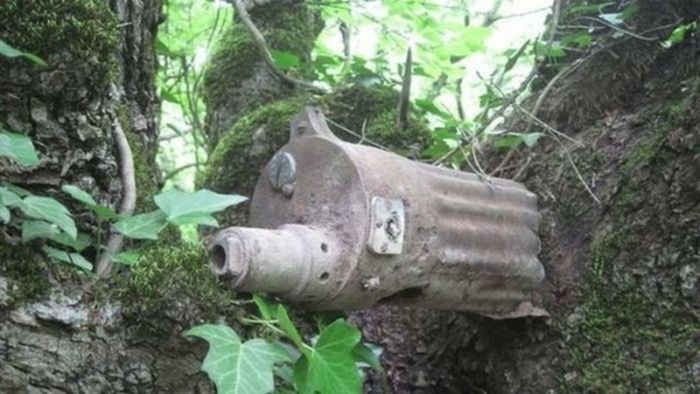 Отголоски войн, поглощенные природой