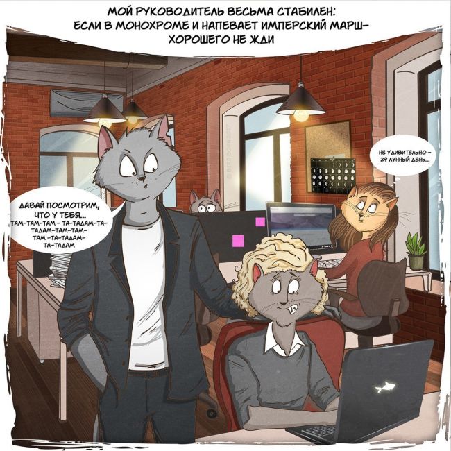Странные коллеги, которые есть у каждого