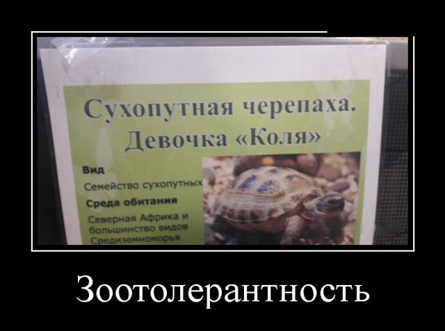 Демотиваторы