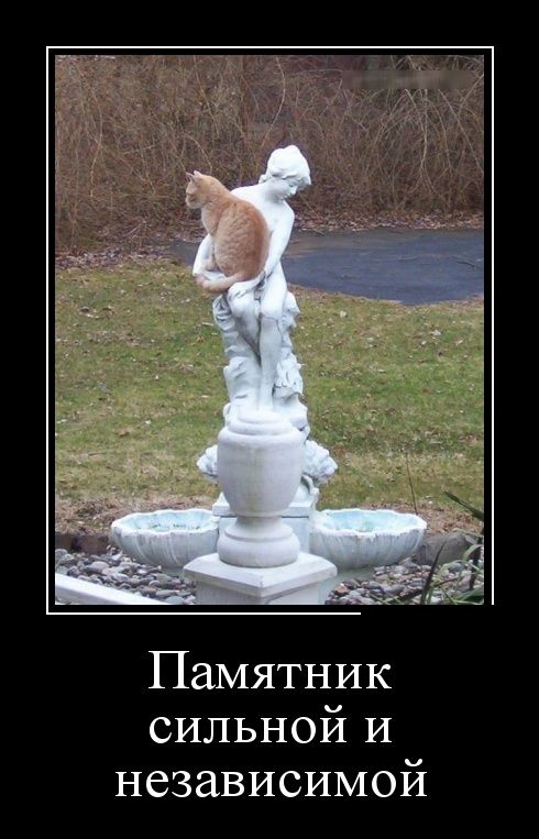Демотиваторы
