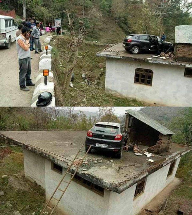 Прикольные картинки