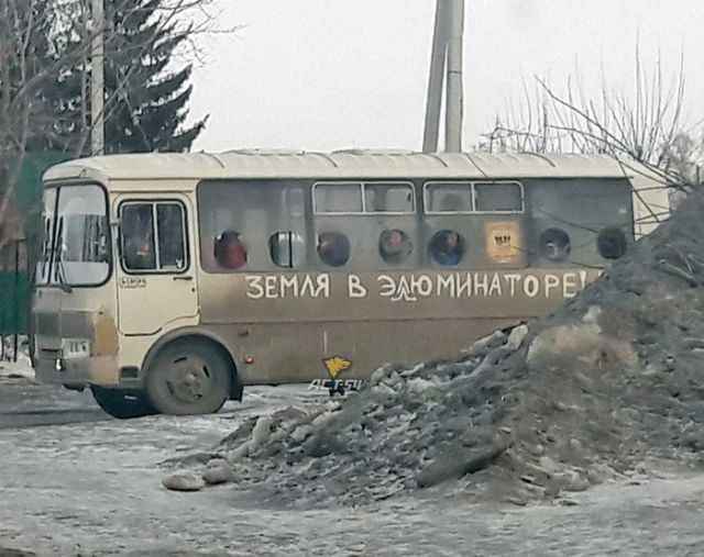 Прикольные картинки