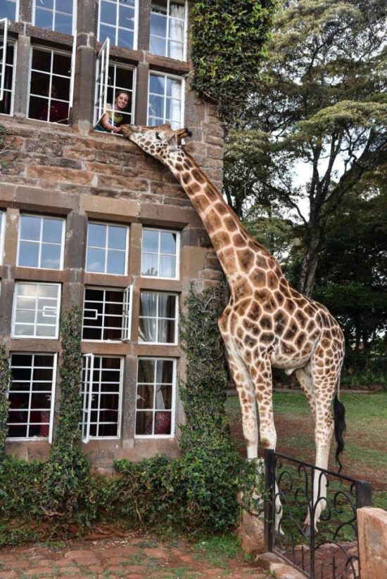 Прикольные картинки