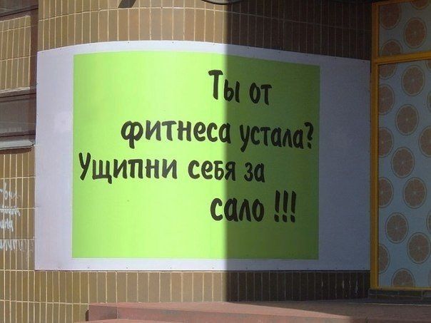 Прикольные картинки  (90 фото)