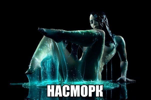 Прикольные картинки  (90 фото)