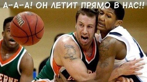 Прикольные картинки  (90 фото)