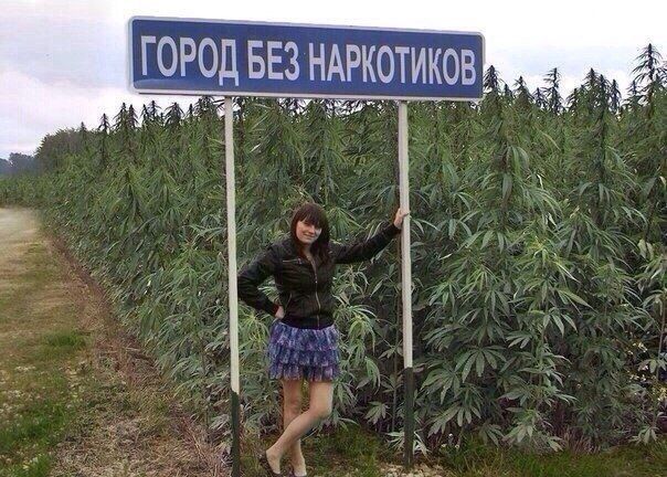 Прикольные картинки  (90 фото)