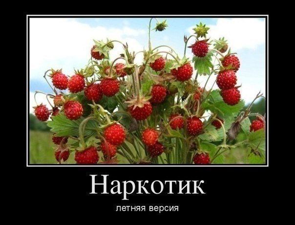 Прикольные картинки  (90 фото)