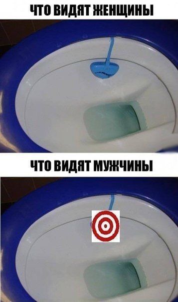 Прикольные картинки  (90 фото)