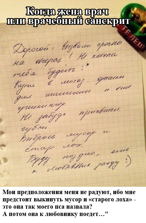 Порция картинок