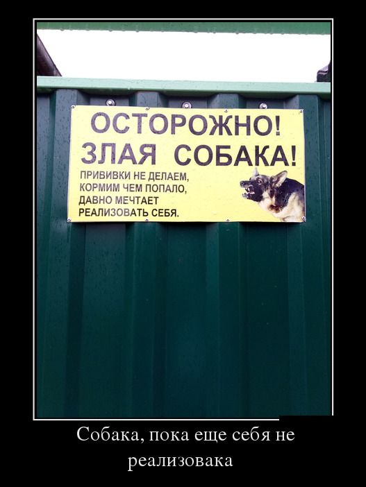 Демотиваторы