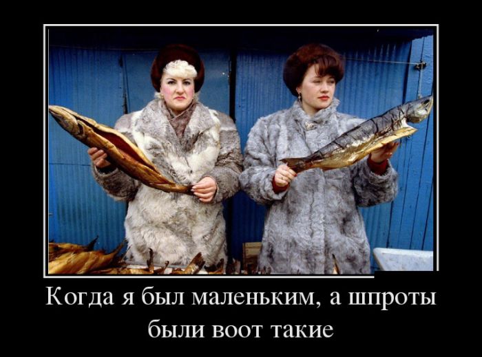 Демотиваторы