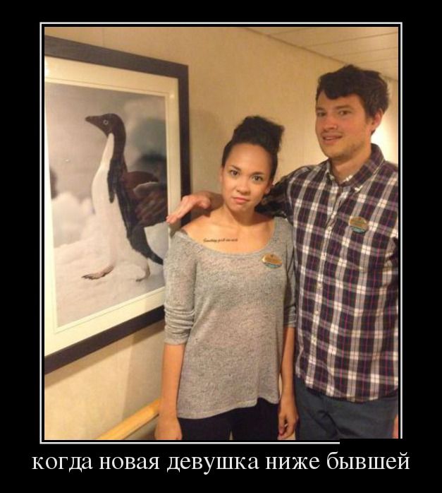 Демотиваторы