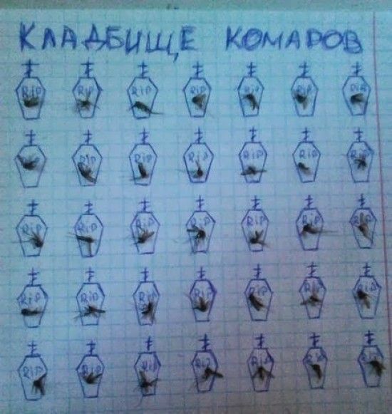 Прикольные картинки