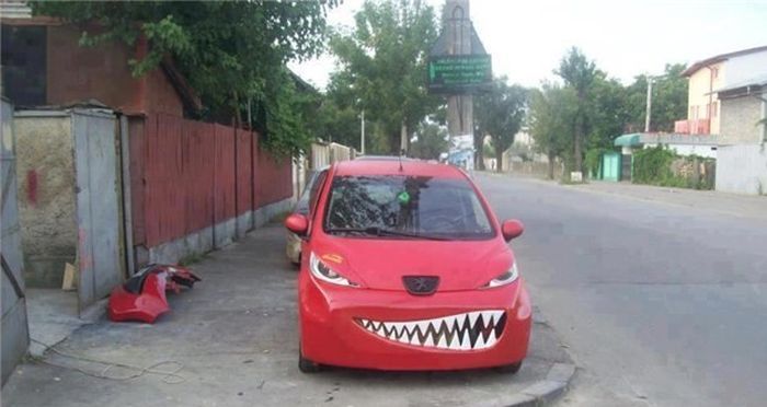 Прикольные картинки