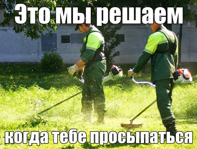 Прикольные картинки (84 фото)